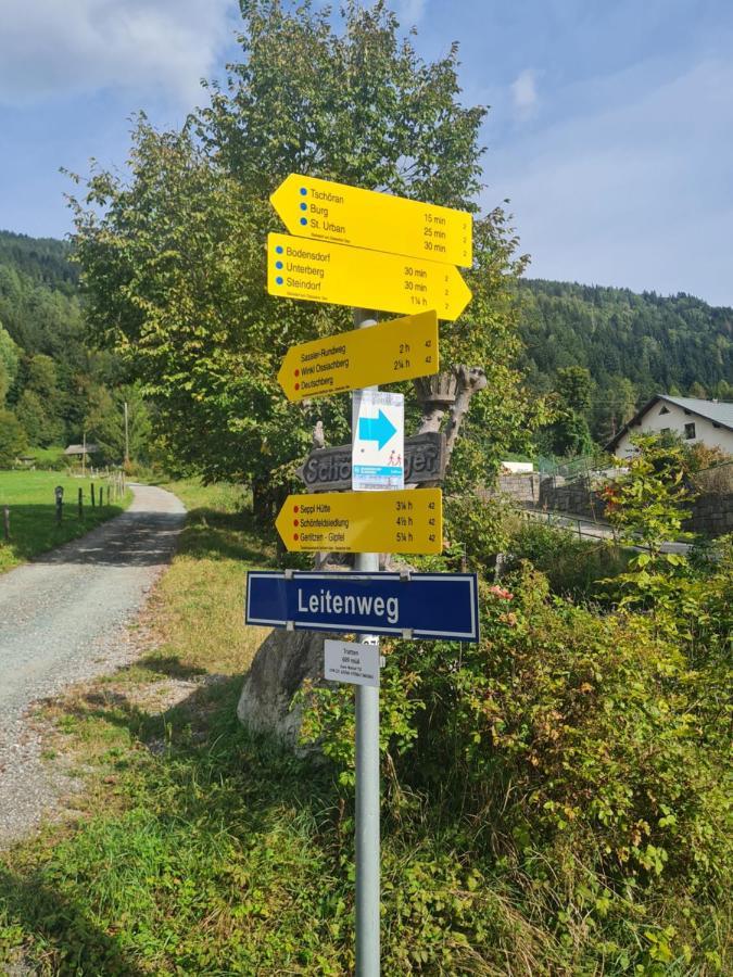 Aparts Lakeview -Gerlitzen -Ossiacher See -Ski Tratten  外观 照片