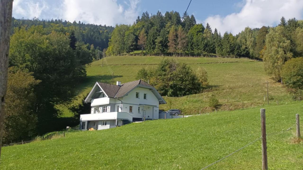 Aparts Lakeview -Gerlitzen -Ossiacher See -Ski Tratten  外观 照片